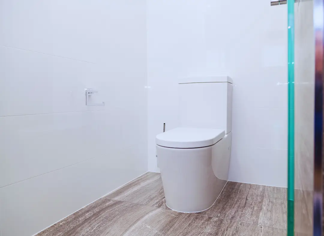 Remplacement de wc Montrabé